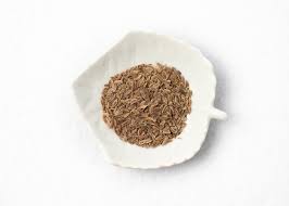 Fresh  Dill Seeds